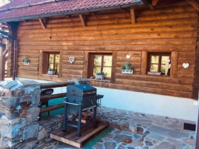 Apartmány Srub Jenišov